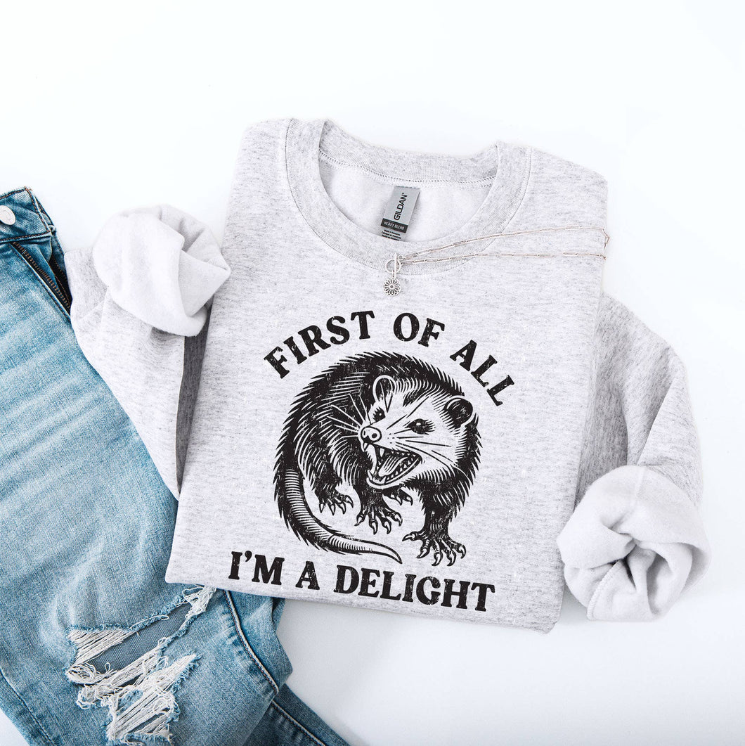 First of All I'm a Delight Sweatshirt